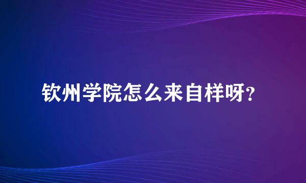 钦州学院怎么来自样呀？