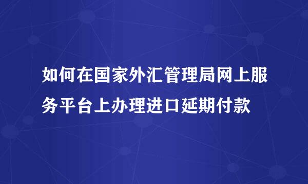 如何在国家外汇管理局网上服务平台上办理进口延期付款