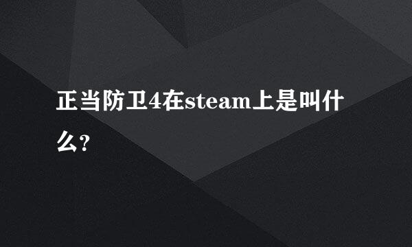 正当防卫4在steam上是叫什么？