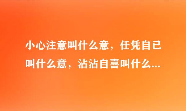 小心注意叫什么意，任凭自已叫什么意，沾沾自喜叫什么意，任意忘为叫什么意，心情爽快叫什么意，心术不正