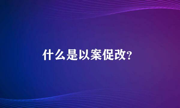 什么是以案促改？