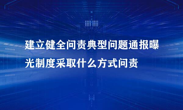 建立健全问责典型问题通报曝光制度采取什么方式问责