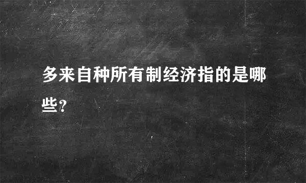 多来自种所有制经济指的是哪些？