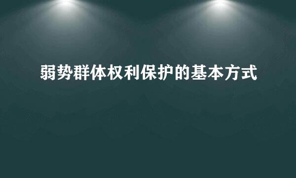 弱势群体权利保护的基本方式