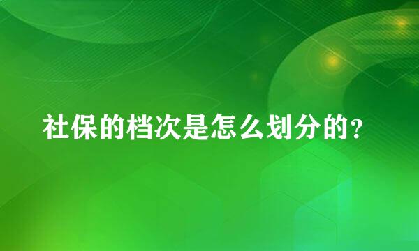 社保的档次是怎么划分的？