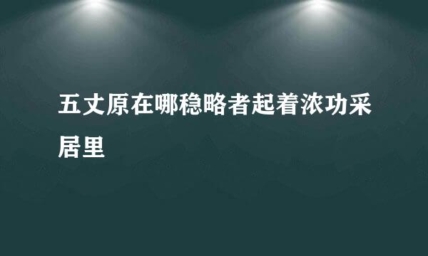 五丈原在哪稳略者起着浓功采居里