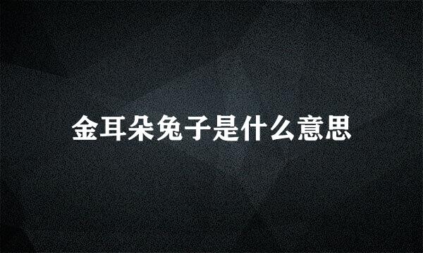 金耳朵兔子是什么意思