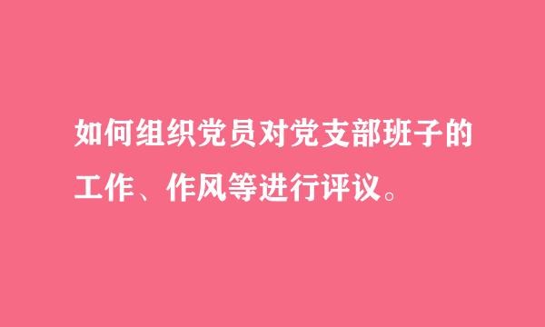 如何组织党员对党支部班子的工作、作风等进行评议。