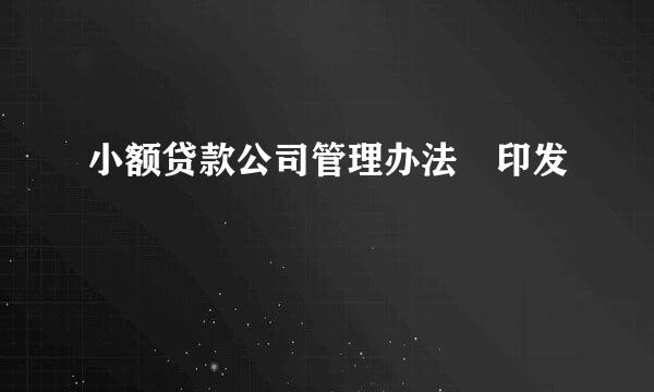 小额贷款公司管理办法 印发