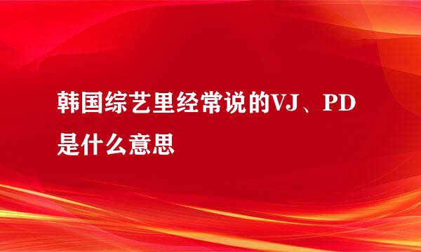 韩国综艺里经常说的VJ、PD是什么意思