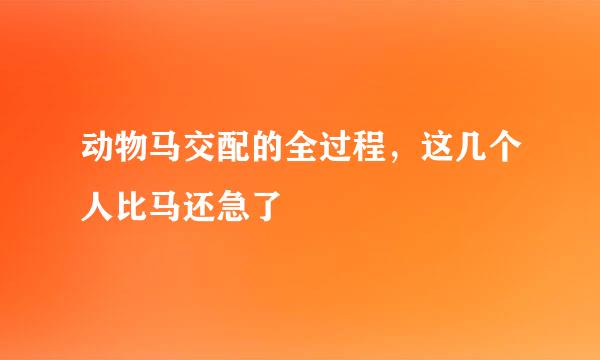 动物马交配的全过程，这几个人比马还急了