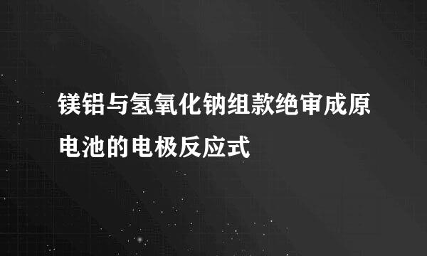 镁铝与氢氧化钠组款绝审成原电池的电极反应式