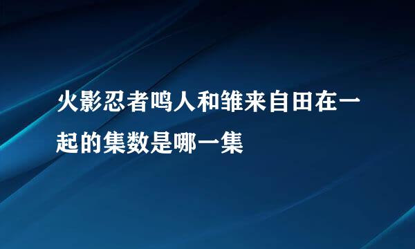 火影忍者鸣人和雏来自田在一起的集数是哪一集