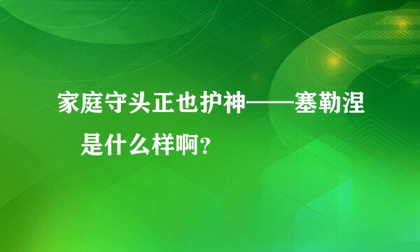 家庭守头正也护神——塞勒涅 是什么样啊？