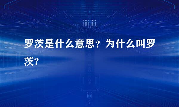 罗茨是什么意思？为什么叫罗茨?