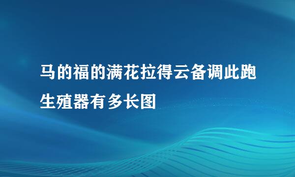 马的福的满花拉得云备调此跑生殖器有多长图