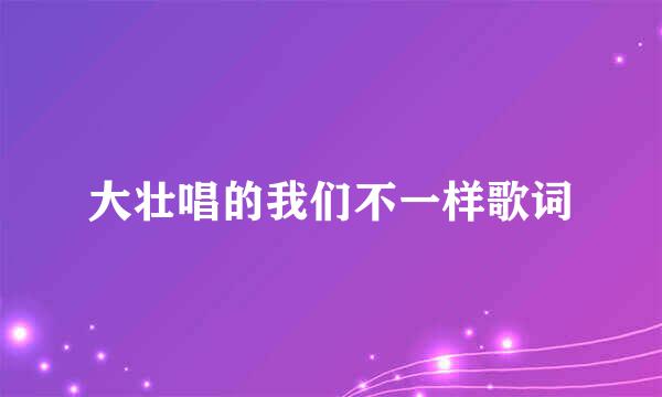 大壮唱的我们不一样歌词