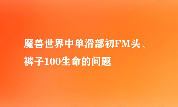 魔兽世界中单滑部初FM头、裤子100生命的问题