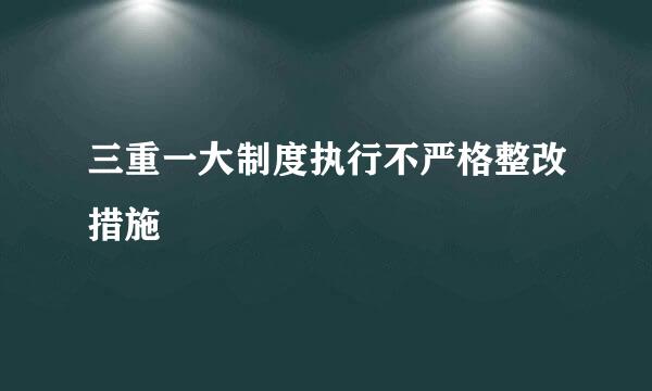 三重一大制度执行不严格整改措施