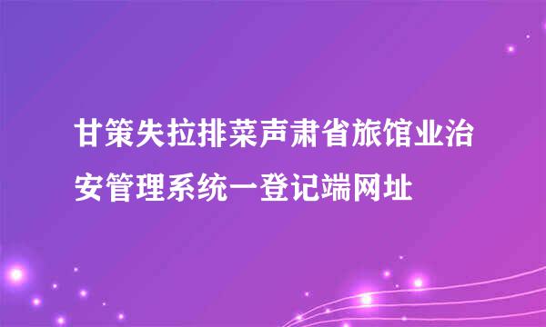 甘策失拉排菜声肃省旅馆业治安管理系统一登记端网址