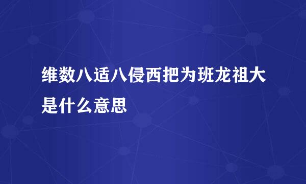 维数八适八侵西把为班龙祖大是什么意思