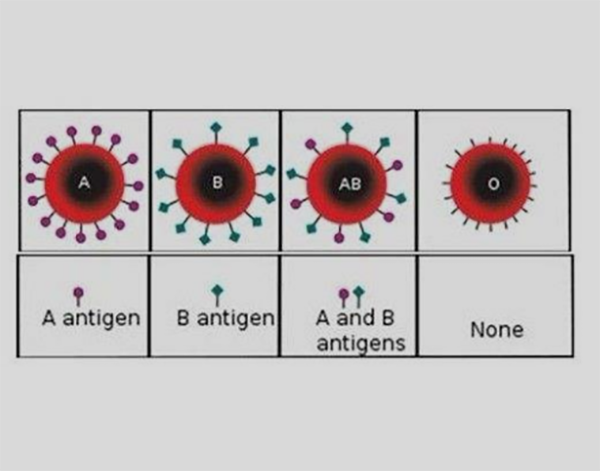 ABO设定来自中，A具体是怎么标记O的?
