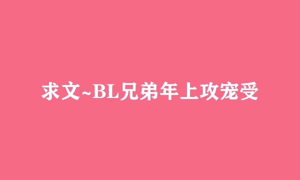 求文~BL兄弟年上攻宠受