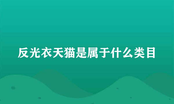 反光衣天猫是属于什么类目