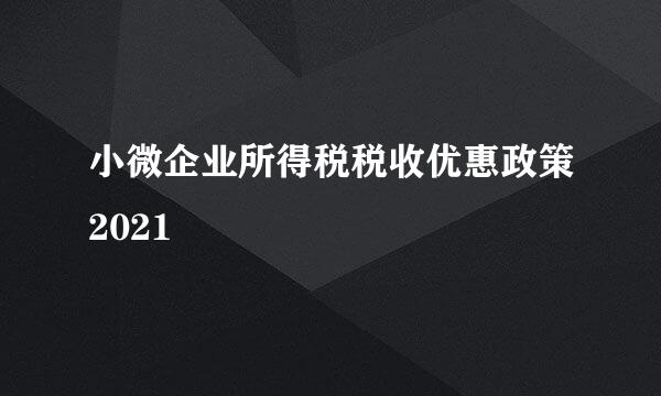 小微企业所得税税收优惠政策2021