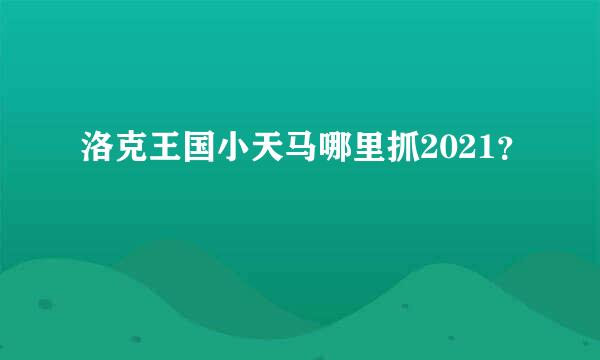 洛克王国小天马哪里抓2021？