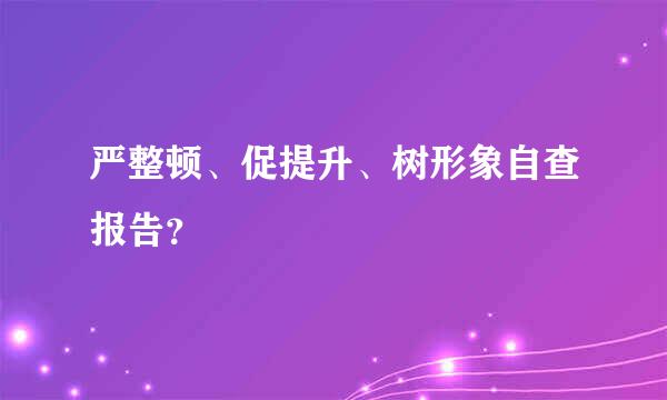 严整顿、促提升、树形象自查报告？