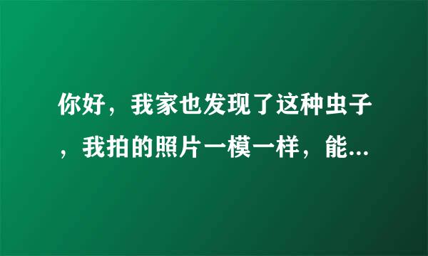 你好，我家也发现了这种虫子，我拍的照片一模一样，能告诉我怎么处理的吗，真的好担忧波四福举查，如能告知真心感谢