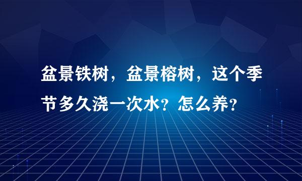 盆景铁树，盆景榕树，这个季节多久浇一次水？怎么养？