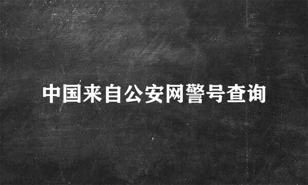 中国来自公安网警号查询