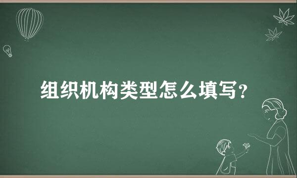 组织机构类型怎么填写？