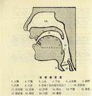 什么青血叫清辅音？什么浊辅音？有什么区别?