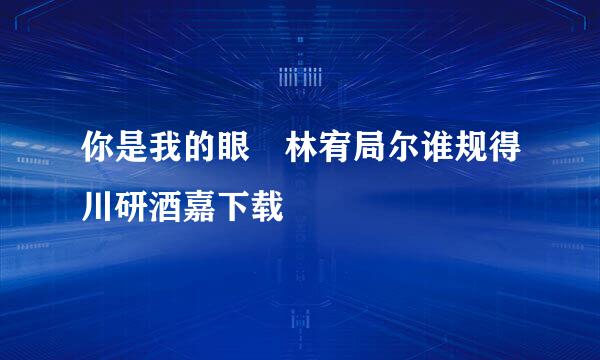 你是我的眼 林宥局尔谁规得川研酒嘉下载