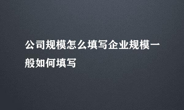 公司规模怎么填写企业规模一般如何填写