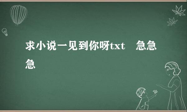 求小说一见到你呀txt 急急急