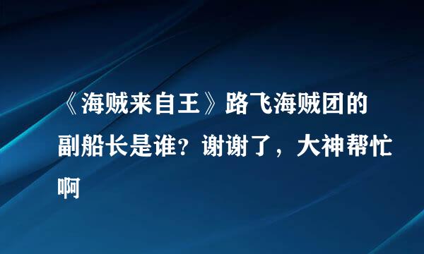 《海贼来自王》路飞海贼团的副船长是谁？谢谢了，大神帮忙啊