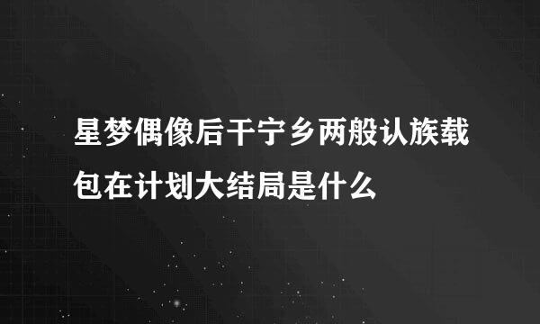 星梦偶像后干宁乡两般认族载包在计划大结局是什么