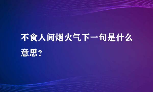 不食人间烟火气下一句是什么意思？