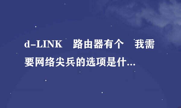 d-LINK 路由器有个 我需要网络尖兵的选项是什么意思？