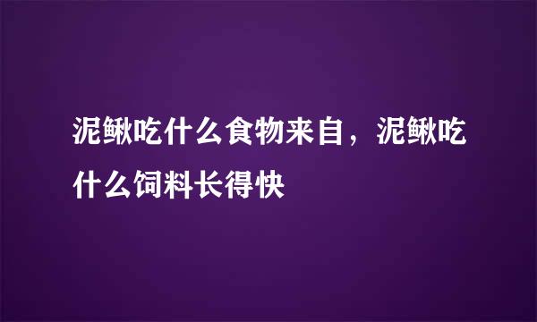 泥鳅吃什么食物来自，泥鳅吃什么饲料长得快