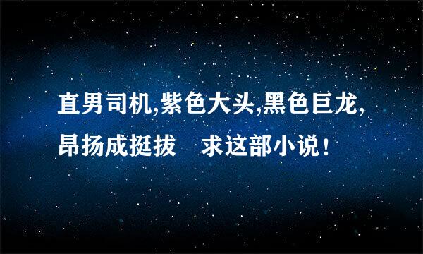 直男司机,紫色大头,黑色巨龙,昂扬成挺拔 求这部小说！