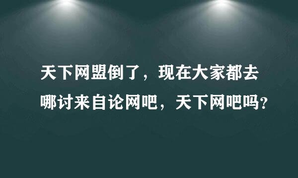 天下网盟倒了，现在大家都去哪讨来自论网吧，天下网吧吗？