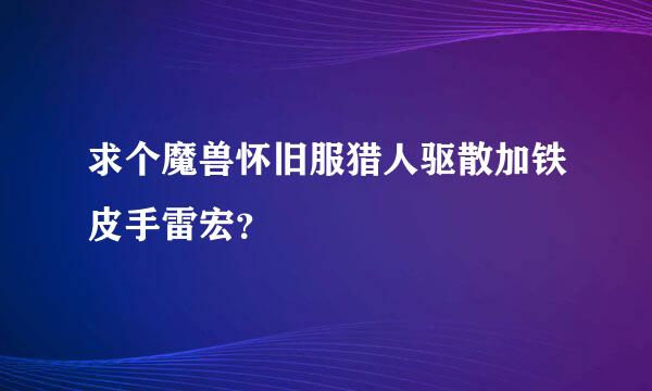 求个魔兽怀旧服猎人驱散加铁皮手雷宏？