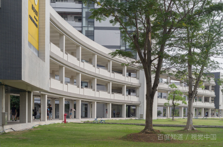 广东财经大学院校代码是多少？