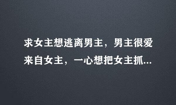 求女主想逃离男主，男主很爱来自女主，一心想把女主抓会充减级朝犯差身边，囚禁起来。之类的文。要书名，要简介。