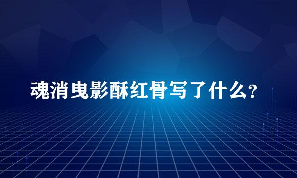 魂消曳影酥红骨写了什么？